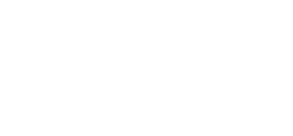 White Logo ISO 27001